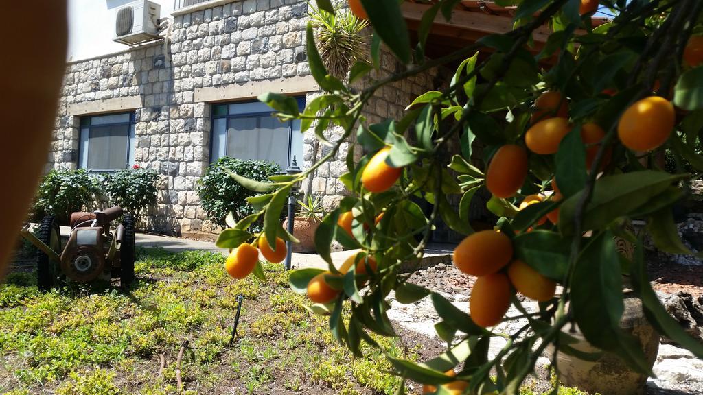 Shwartzimmer Rosh Pinna Dış mekan fotoğraf